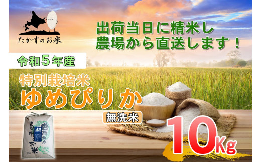 A221 　令和５年産北海道米を代表する人気の品種「ゆめぴりか」（無洗米・10kg）