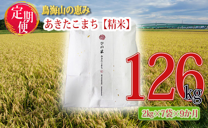 《定期便》14kg×9ヶ月 秋田県産 あきたこまち 精米 2kg×7袋 神宿る里の米「ひの米」（お米 小分け）