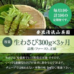 岩手県産 生わさび 300g 定期便3ヶ月 【安比清流山葵園】 ／ 山葵 ワサビ わさび 薬味 国産 八幡平市産 産地直送 新鮮 調味料 お肉 蕎麦 和え物 漬け物 刻み おろし 辛味 お寿司 そば 