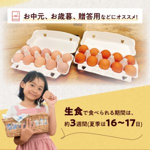 名古屋コーチン卵・仙寿卵お試しセット(各10個入り)良質卵 [006K02]