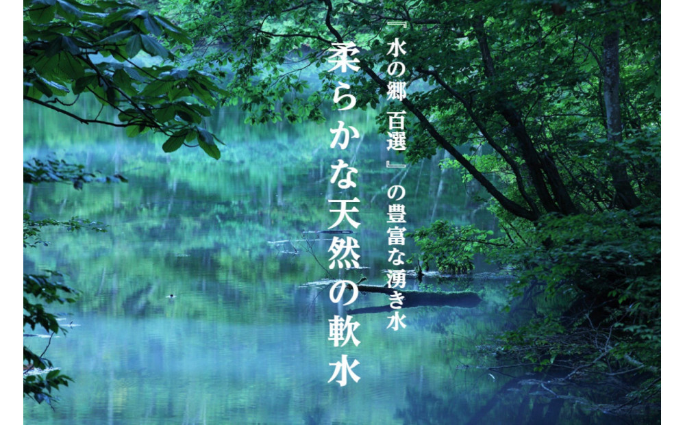 《 令和7年産  》 定期便 5kg × 6ヶ月 魚沼産コシヒカリ 一等米