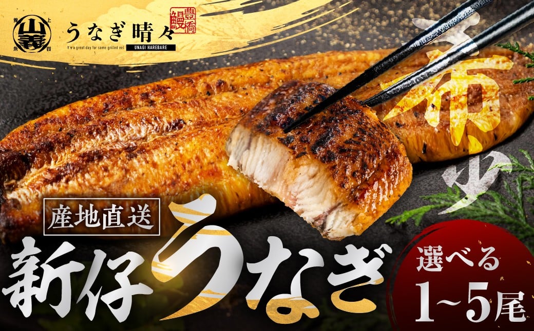 
            山義養魚の『うなぎ晴々』 選べる1～5尾 希少  豊橋うなぎ 蒲焼 厳選 国産 新仔うなぎ 若うなぎ 鰻 簡易包装 ウナギ うなぎ 鰻 蒲焼 ギフト ひつまぶし 土用丑の日 ギフト 冷凍  丑の日 簡単調理 豊橋うなぎ お取り寄せ 送料無料
          
