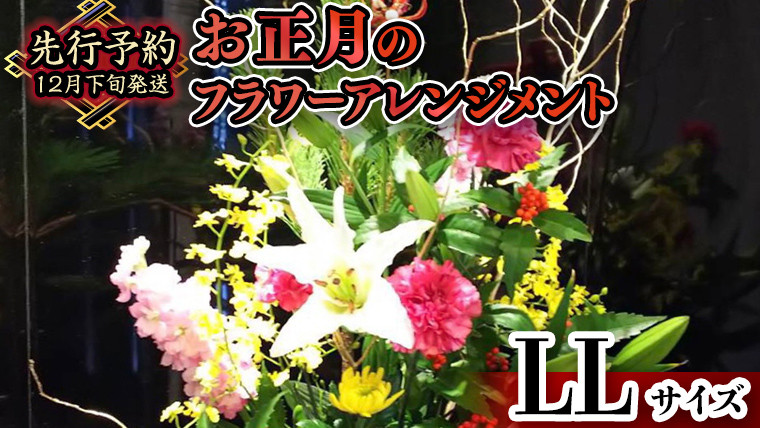 
【 お正月 の お花 】フラワー アレンジメント LL お正月 花 生花 縁起物 フラワーアレンジメント ギフト [CT054ci]
