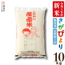 【ふるさと納税】【令和6年産 新米】さがびより無洗米 10kg【2ヶ月定期便】│米 白米 お米 精米 銘柄米 国産 美味しい おいしい ブランド米 人気 コメ こめ おこめ ごはん ご飯 安心安全 取り寄せ グルメ 食べ物 九州産 佐賀県産 送料無料 10キロ H061420