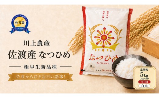 【3か月定期便  なつひめ】令和8年産 佐渡産なつひめ 合計15kg（5kg×全3回）精米 川上農産 | 新潟県産なつひめ 新潟産なつひめ 新潟なつひめ 佐渡島産なつひめ 佐渡産なつひめ お米 米 なつひめ ナツヒメ 白米 精米 おこめ コメ 5キロ 定期便 にいがた さど 新潟県 佐渡市