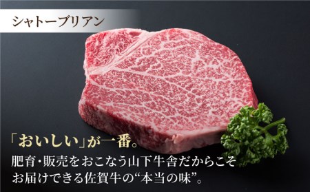 【A5ランク 超希少部位】佐賀牛 ヒレセット 2人前（シャトーブリアン 200g+ヒレ サイコロステーキ 500g）【山下牛舎】黒毛和牛 牛肉 ヒレステーキ フィレ 赤身 赤身肉 [HAD097]