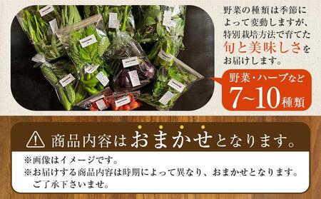 特別栽培 旬の採れたて お野菜 7～10種類詰め合わせセット TAGATAME タガタメ【野菜 特別栽培 栽培期間中農薬不使用 採れたて さぬき市】