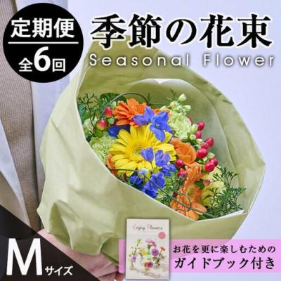 ふるさと納税 門川町 【毎月定期便】季節のお楽しみブーケ(Mサイズ)全6回
