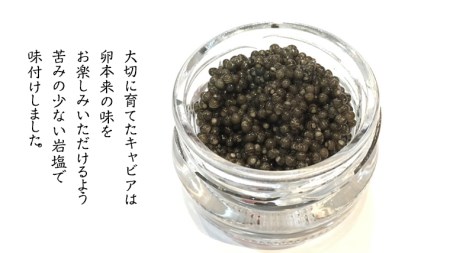 【2023年11月中旬発送開始】 つくばスタージョン キャビア 20ｇ×1 キャビア 高級食材 記念日 誕生日 世界三大珍味 国産キャビア 茨城県産 茨城 [AI005sa]