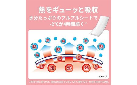 熱さまシート 赤ちゃん用 12枚×5箱セット【愛媛小林製薬】 発熱 暑さ対策に 無香料 無着色 弱酸性
