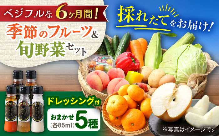 【6回定期便】野菜・果物の詰合せと極みドレッシング85ml×5本 / 野菜 やさい 果物 くだもの フルーツ ふるーつ ドレッシング  / 大村市 / おおむら夢ファームシュシュ [ACAA219]