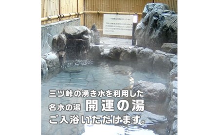 No.368 ログハウス5人棟宿泊券【n0368_grn_A】