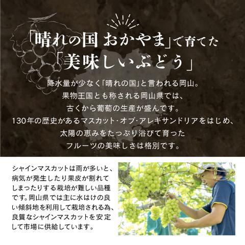 岡山県産 シャインマスカット 1kg以上（2～3房）＜2025年9月上旬～10月下旬発送＞
