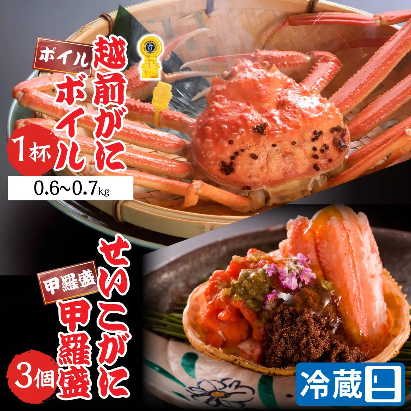 【先行予約】【蟹問屋 越前田村屋 究極の逸品】越前がに （ズワイ） 0.6-0.7kg 1杯セイコがに甲羅盛 3個セット [H-029018] / せいこがに