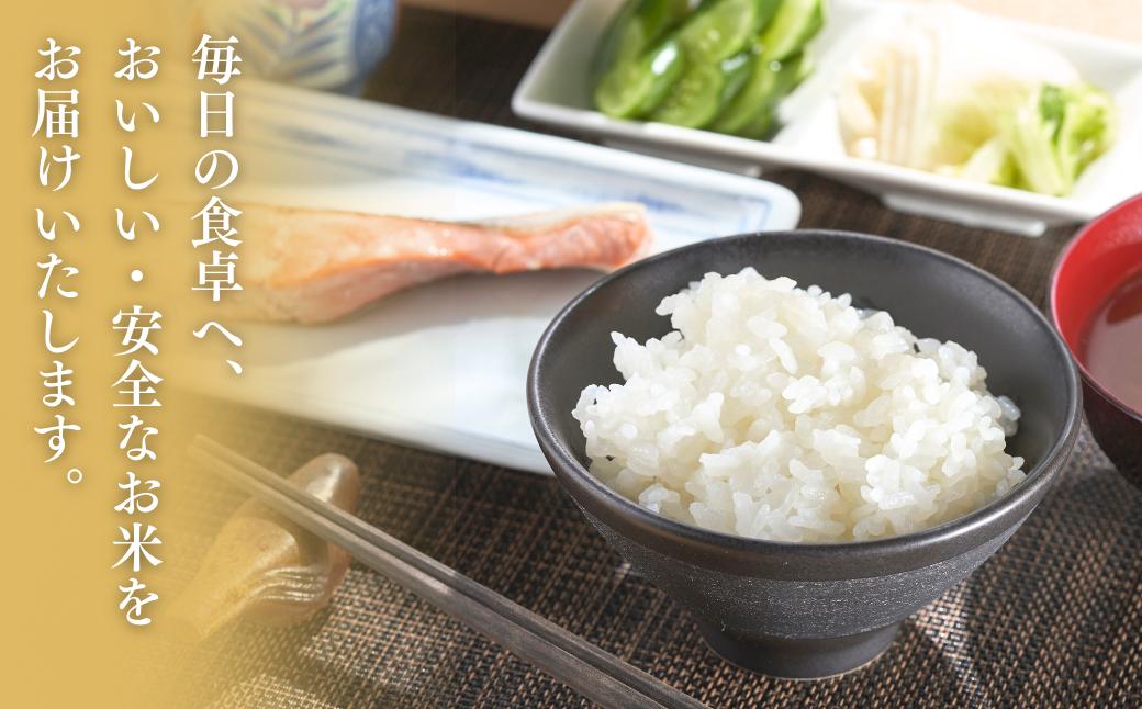 【令和7年産新米】 「新之助」 5㎏ 新潟県産 出雲崎町産 白米 精米 お米