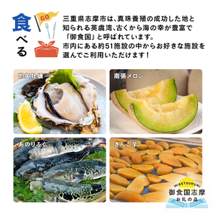 御食国志摩満喫旅行券 / 15,000円分 旅行クーポン 旅行券 志摩 旅行券 伊勢志摩 三重県 志摩観光 観光 宿泊 体験 〔050-44〕