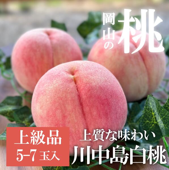 【ふるさと納税】 【きよとうファーム】上質な桃 川中島白桃 上級品 5-7玉入 (岡山県産)【2025年8月以降順次発送】【配送不可地域：離島】岡山 桃 もも モモ 果物 フルーツ 甘い 産地直送 数量限定【1602777】【KF-A021-01】