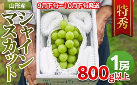 山形市産 シャインマスカット 特秀 1房 800g以上【前半】  FZ21-909