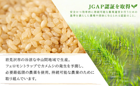令和7年産!ファーム坂口の特別栽培米 ななつぼし玄米 30kg (30kg×1袋)