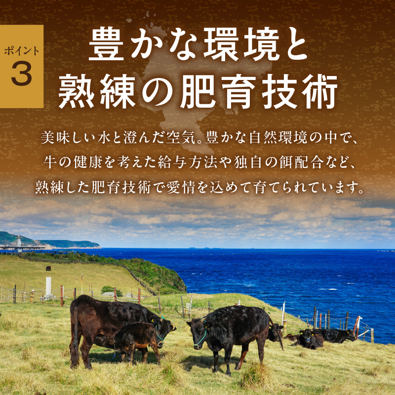 【 佐賀牛 1kg 】佐賀牛 艶さし！ しゃぶしゃぶ すき焼き 1kg（500g×2P） J1368_イメージ5