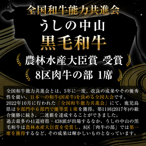 【数量限定】鹿児島県産 A4・A5等級うしの中山黒毛和牛赤身焼肉用600g a5-263