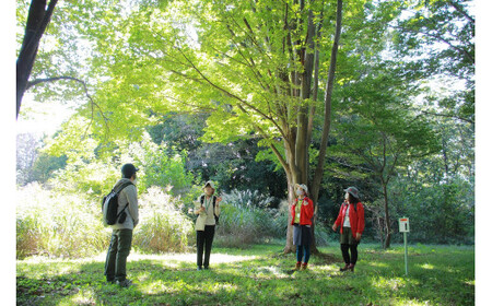 きたもと森林セラピー ハンドマッサージ付き（2名分）【森 癒し 森林浴 健康 セラピー 体験 リラックス ストレス軽減】