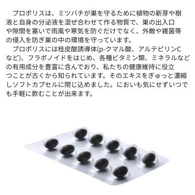 ふるさと納税 山梨市 バイオフラボンメディック 240粒 |  | 01
