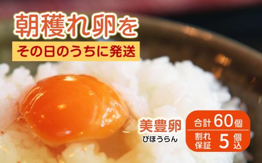 たまご 卵 タマゴ 60個 美豊卵 熊福 こだわり ふっくら 濃厚 朝穫れ ふるさと納税 送料無料 【四国中央市 日本一 紙のまち】
