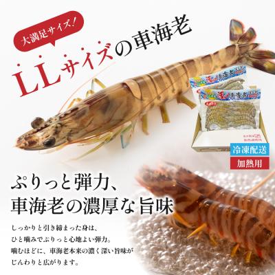ふるさと納税 南さつま市 【鹿児島県産】冷凍 車海老 LLサイズ 600g (加熱用) |  | 01