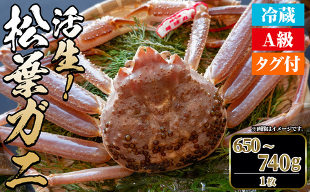 ＜平日着※指定日不可＞＜期間限定＞＜11月中旬～3月中旬発送予定＞松葉ガニ 活生(650〜740g・1枚)海鮮 かに カニ 蟹 松葉ガニ 松葉がに 松葉蟹 ずわいがに ズワイガニ 活生 海の幸【sm-DD045-A】【Workplays】