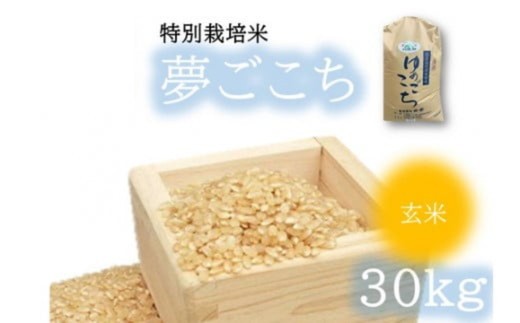 夢ごこち（特別栽培米）玄米 30㎏【002116B】