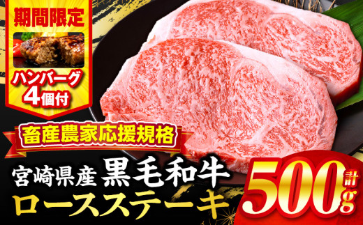 【2025年8月発送】【期間・数量限定】畜産農家応援！宮崎県産黒毛和牛ロースステーキ250g×2・国産牛ハンバーグ100g×4個_M132-091-B1-aug