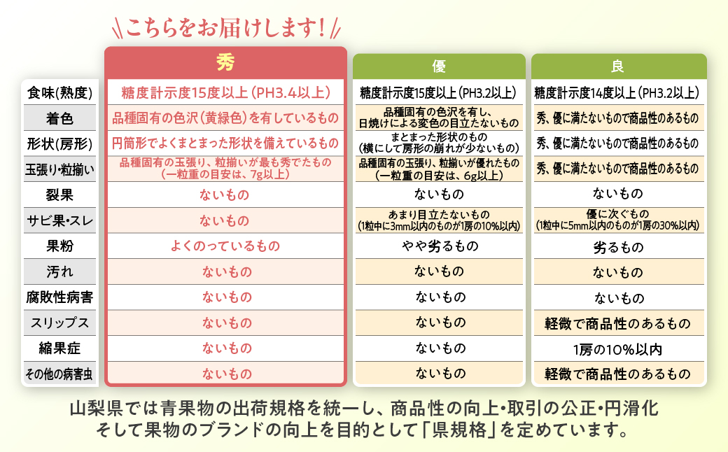 【☆先行予約☆2025年/令和7年発送分】シャインマスカット「こだわり」１kg以上　2～3房