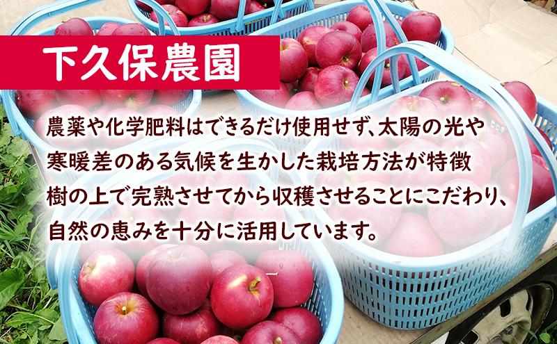 10月限定 りんご 『紅玉』生果実 盛岡りんご 家庭用 約5kg(20~25個) 箱 盛岡市 下久保農園産