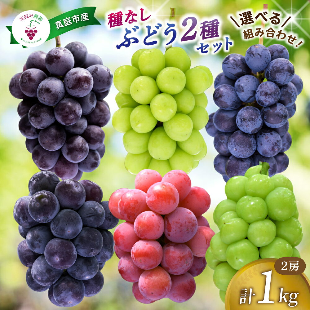 【ふるさと納税】 ぶどう 種無し 選べる食べ比べ2種 約1kg(2房) セット 詰め合わせ ぶどう 葡萄 種無し 種なし 果物 フルーツ くだもの 数量限定 産地直送 冷蔵 岡山産 真庭市 令和7年産 送料無料 【先行予約 2026年発送】