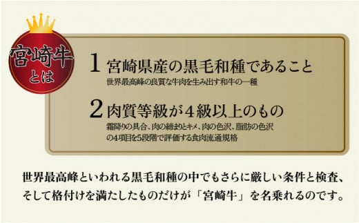 KU206-1＜冷蔵・真空包装＞希少部位！A4等級以上！宮崎牛ヒレステーキ1枚（約120g）【スーパーほりぐち】