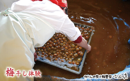 カフェドマンマ食事券1500円分＆梅干し作業体験チケット  A-002b