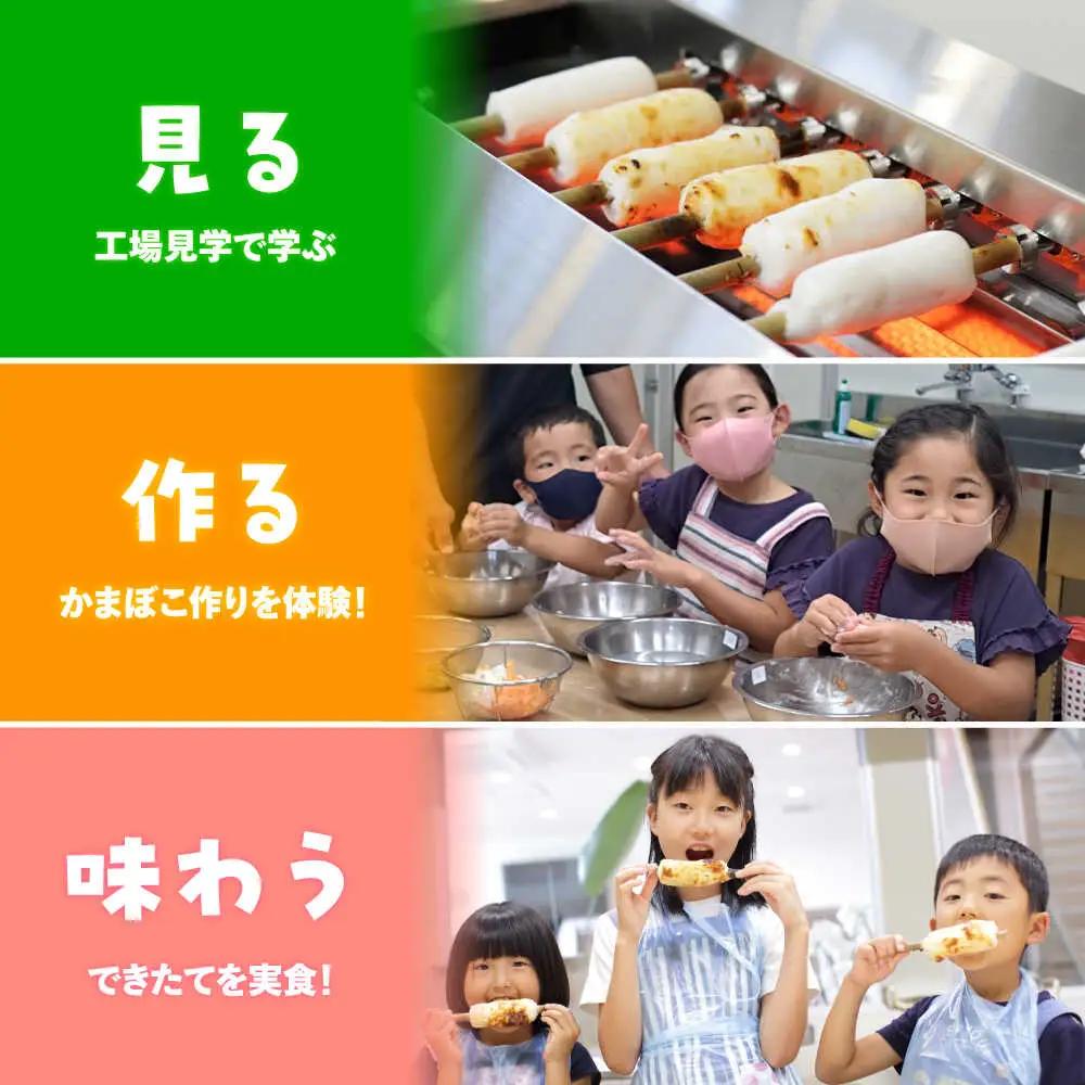 【Bコース】おいしい出来たて かまぼこ作り体験 / カマボコ 蒲鉾 練り物 焼きちくわ 揚かまぼこ 魚そうめん / 南島原市 / しきしま蒲鉾[SAR014]