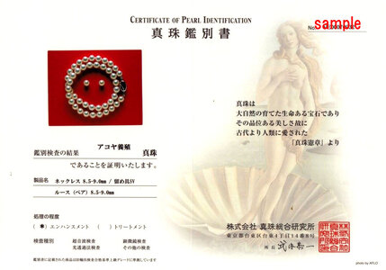 老舗の真珠専門店・高品質アコヤ真珠ネックレスセット8.5～9.0ミリ（イヤリングセット） / あこや ネックレス 真珠 伊勢志摩 志摩 アクセサリー ギフト パール 母の日 成人 記念 入学式 卒業式