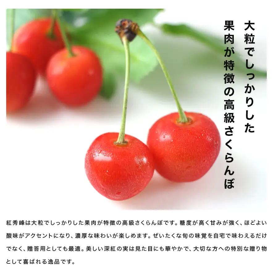 先行予約 さくらんぼ 紅秀峰 秀品 500g×2 令和9年産 mm-bspsx1000