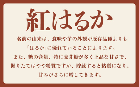 【先行予約】大谷原の熟成さつまいも (5kg 土付き) 約25本【入手困難・数量限定】【2026年10月下旬以降順次発送予定】【サツマイモ 芋 紅はるか】 [m23-a004]