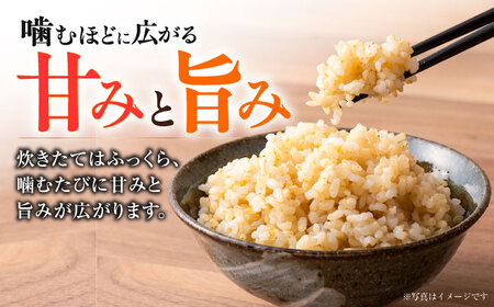 【先行予約】 【令和7年度】 くまさんの輝き 玄米 5kg (1袋) （2025年10月下旬ごろ順次発送） 【坂本農園】[AYCC020]