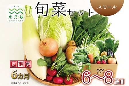 【6回定期便】 京丹波 旬菜セット スモール 6～8品目【 野菜定期便 】