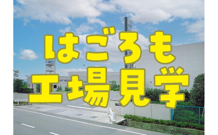【7月31日(木）午前開催】体験企画「シーチキン工場見学」親子ペアチケット◆お土産付き