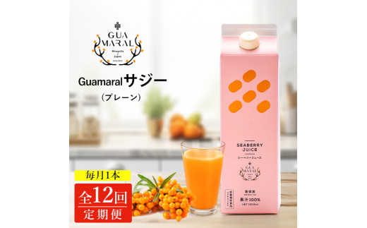 【定期便】 サジージュース 100% 1000ml×毎月1本 12ヶ月コース | サジー シーベリー 沙棘 グアマラル 健康ドリンク 健康 美容 栄養 果汁 鉄分補給 栄養補給 健康食品 ギフト 贈答 プレゼント ご褒美 お祝 記念品 _DX09