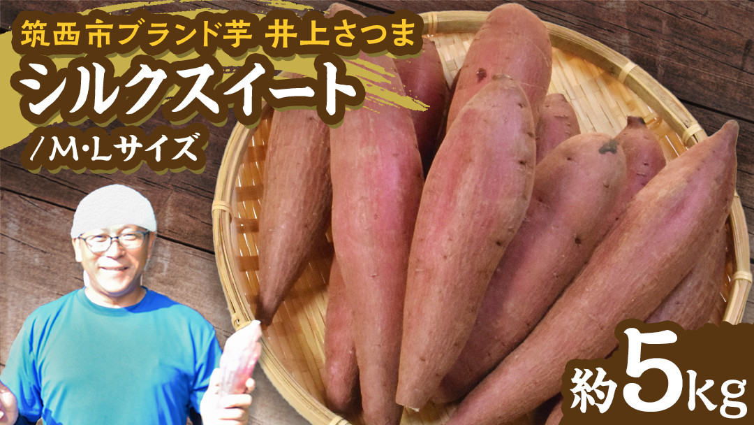 
            【 よしのいも 】井上さつま 「 シルクスィート 」 M・Lサイズ 約5kg ( 土なし ) 完熟 さつまいも いも おいも 焼き芋 芋 おやつ まごころ野菜よしの [DX015ci]
          