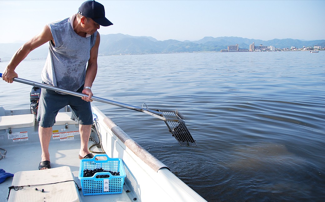 B24-043 東郷湖冷凍しじみ（大粒） 2kg