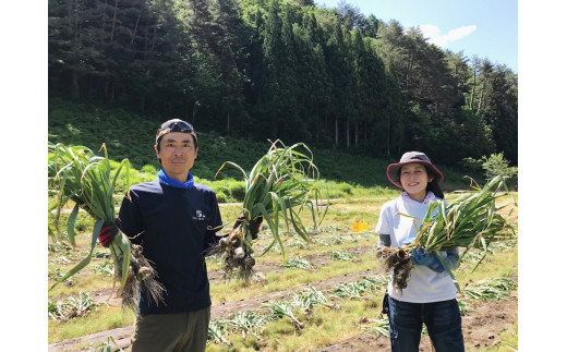 白川郷 そば 250g×3袋 蕎麦 白川郷産 乾めん 干しそば そば 美味しい 乾麺 岐阜県産 大田ファーム 白川村 年越し蕎麦 年越しそば ソバ [S014]