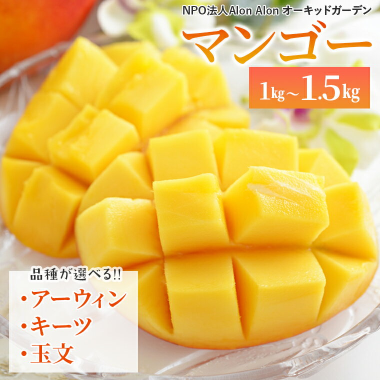 【ふるさと納税】マンゴー アーウィン キーツ 玉文 1kg～1.5kg 果物 フルーツ 完熟 国産 農薬不使用 日本 房総 千葉県 産地直送 夏 季節限定 数量限定 濃厚 甘い さっぱり 希少 貴重 高級 皮 アップルマンゴー キーツマンゴー ギフト 贈り物 プレゼント 贈答 記念日 2026年