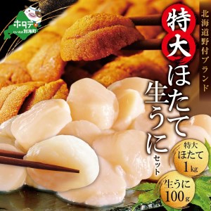 北海道 うに ・ ほたて セット  / バフンウニ 100g 特大で味も評判の 野付産 ホタテ 特大 サイズ 1kgの 海鮮 セット 　（ うに ウニ 雲丹 ばふんうに バフンウニ  ほたて ホタテ 帆立 海鮮 セット  北海道 野付 人気 ふるさと納税 ）